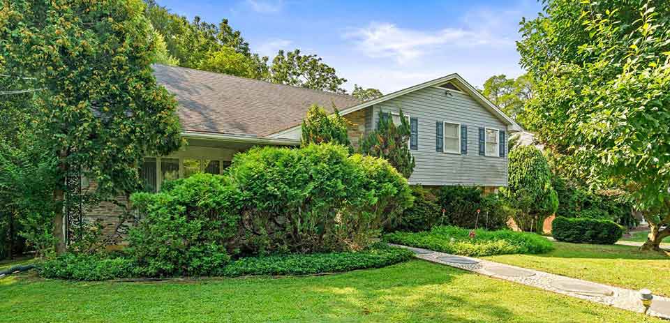 The John McClintock Team